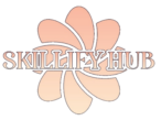 skillifyhub.com